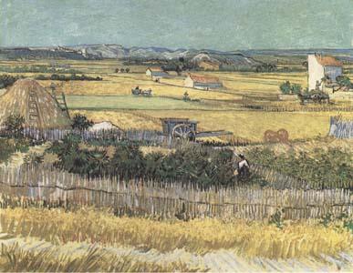 Vincent Van Gogh Harvest at La Crau,with Montmajour in the Background (Blue Cart) (mk09) oil painting image